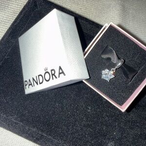 Sparkling Pet Paw Print Dangle Charm